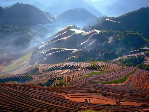 Fotos de los campos de China