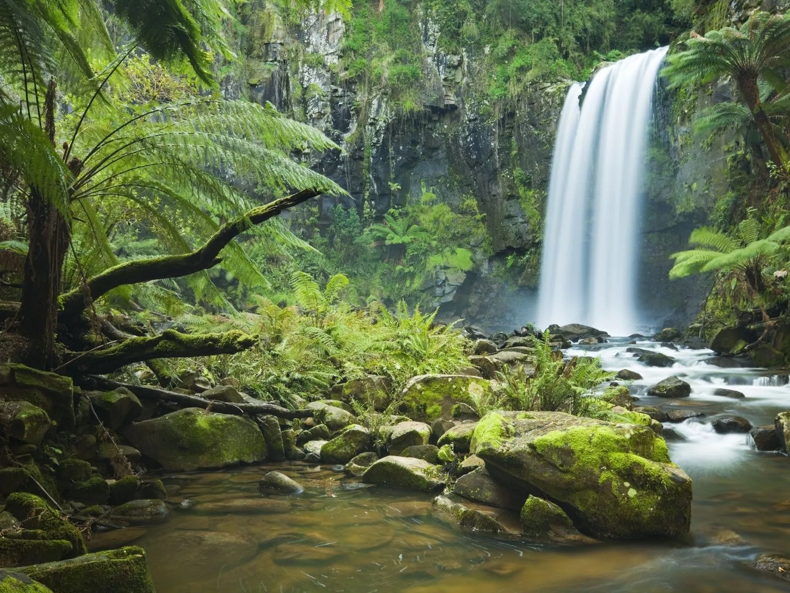 Fotos de cascada arboles para facebook ~ Mejores Fotos del Mundo ...