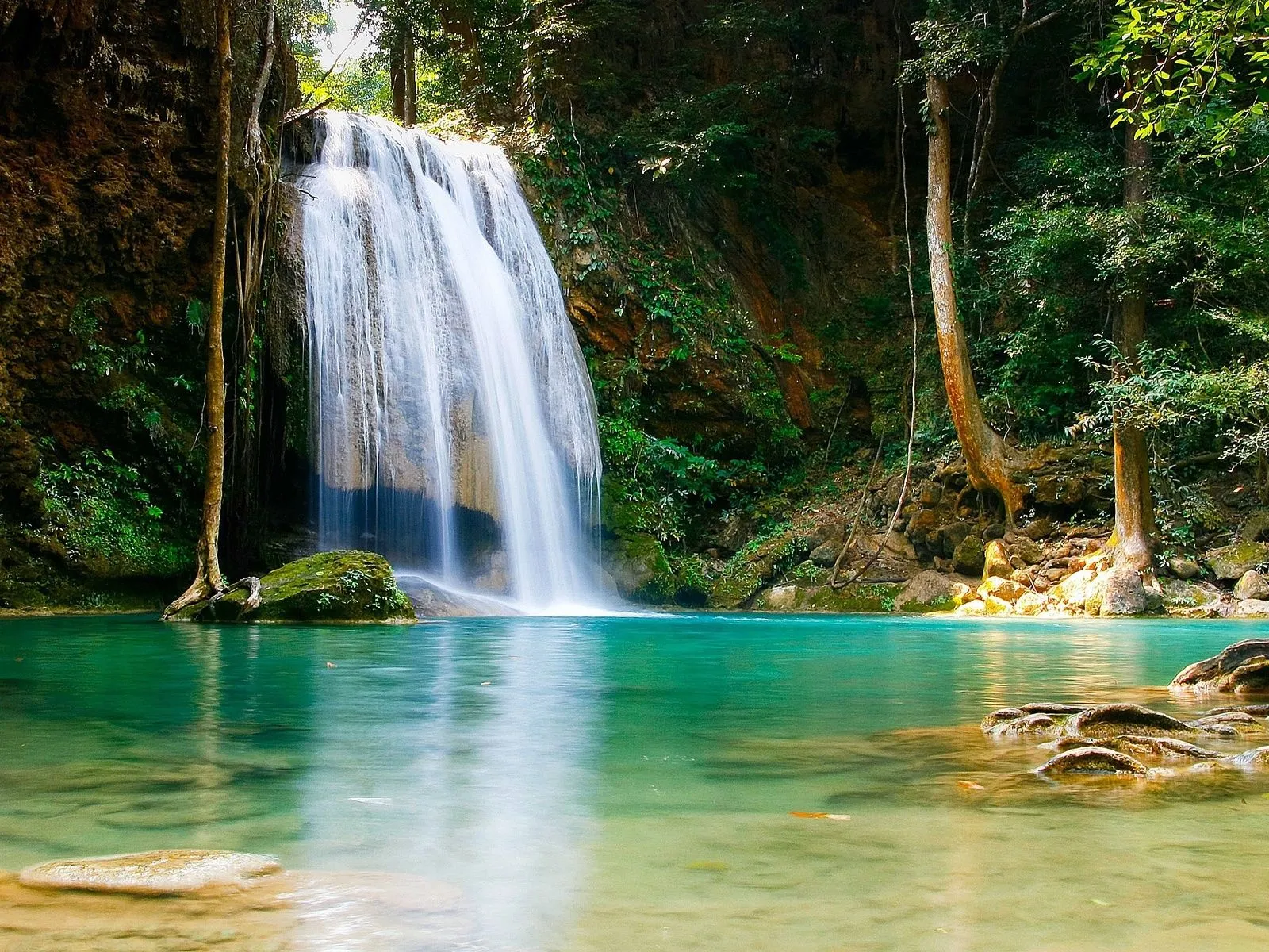 fotos de cascada plantas para facebook ~ Mejores Fotos del Mundo ...