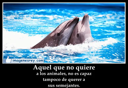 Imagenes Desmotivaciones con Frases: 05/