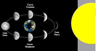 FOTOS DIBUJOS CULTURA GEOGRAFIA: DIBUJOS: FASES DE LA LUNA O FASE ...