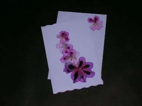 Fotos de Exclusivo saludo, tarjetas hechas a mano con flores ...