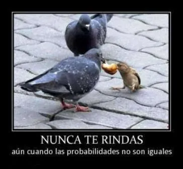 Fotos para facebook: Imágenes para facebook chistosas.