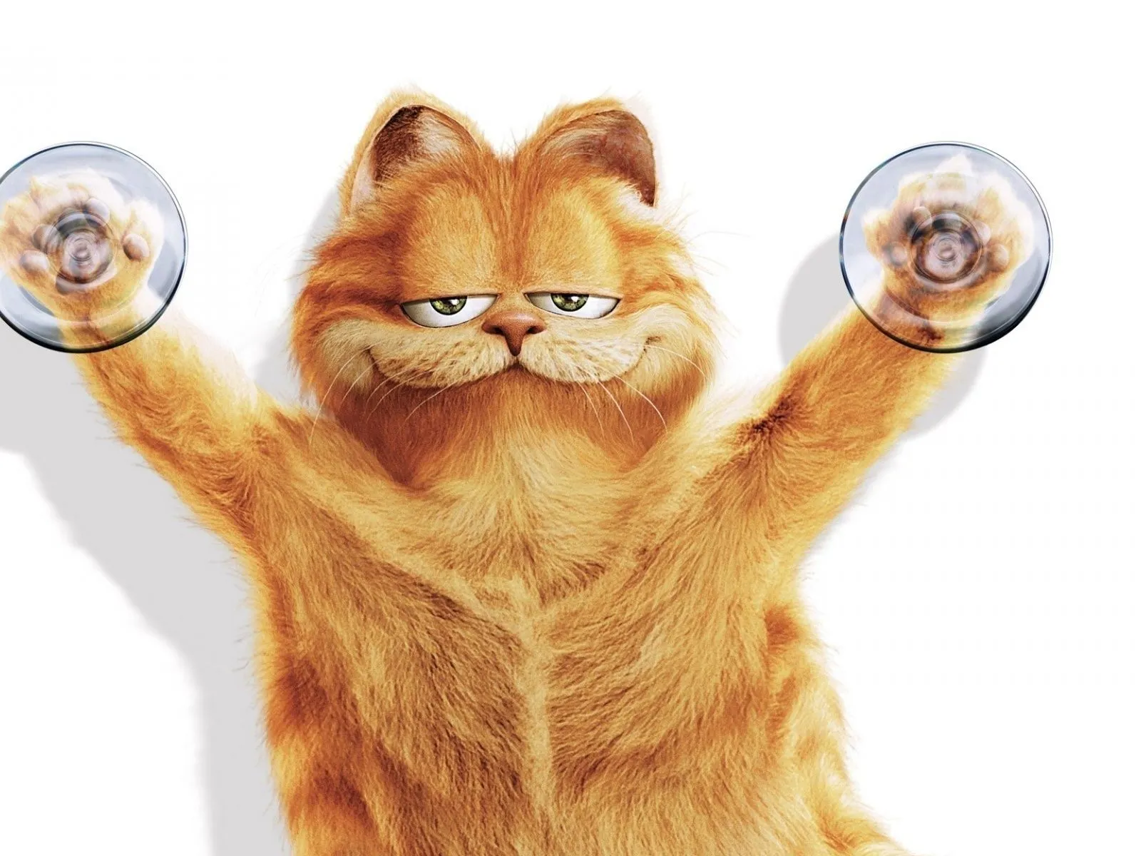 fotos de gato garfield para facebook ~ Mejores Fotos del Mundo ...