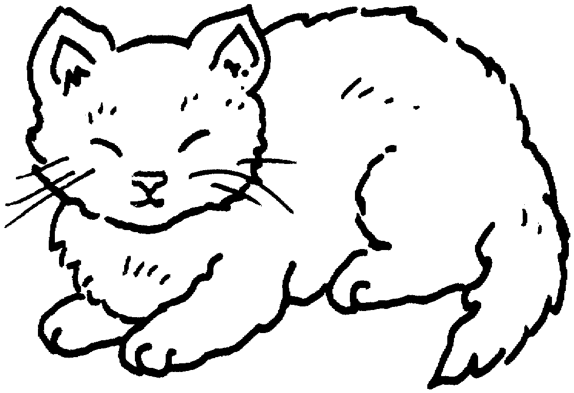 Fotos de gatos para imprimir - Dibujos para colorear - IMAGIXS