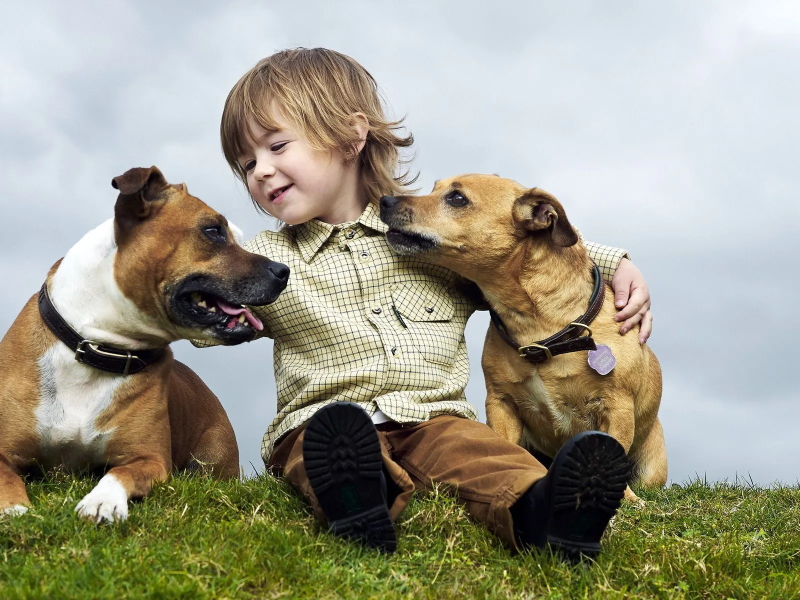 Fotos de hermoso niño jugando con dos perros ~ Mejores Fotos del ...