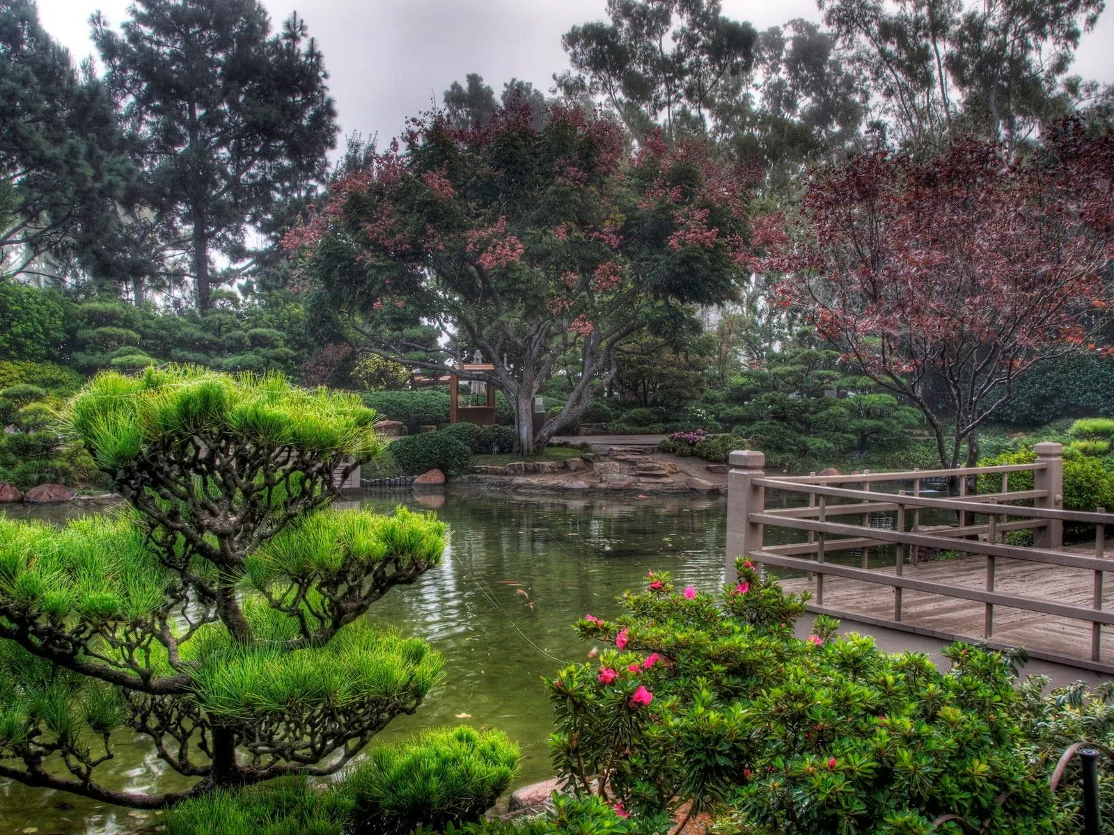 Fotos de jardin japones ~ Mejores Fotos del Mundo | Fotografías de ...