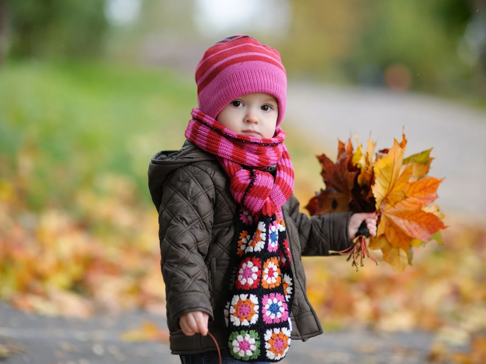 Fotos de una linda niña recogiendo hojas caídas de otoño ~ Mejores ...