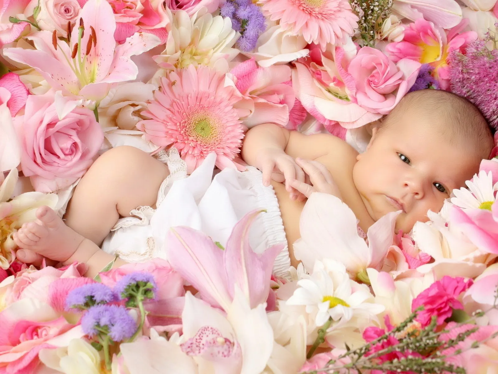 Fotos de lindo bebe recostado en las flores ~ Mejores Fotos del ...