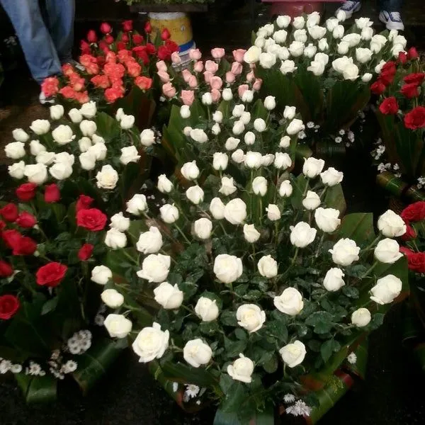 Fotos en Mercado Jamaica - Venustiano Carranza, Federal District