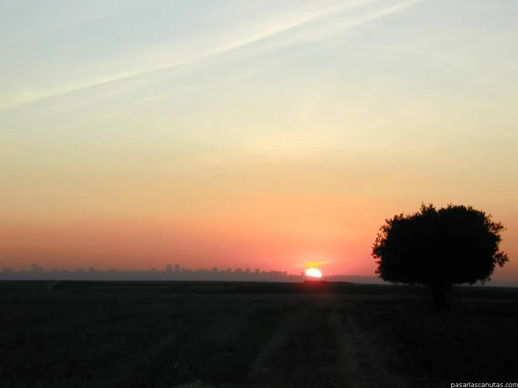 Fotos de paisajes - Atardeceres en Ajalvir