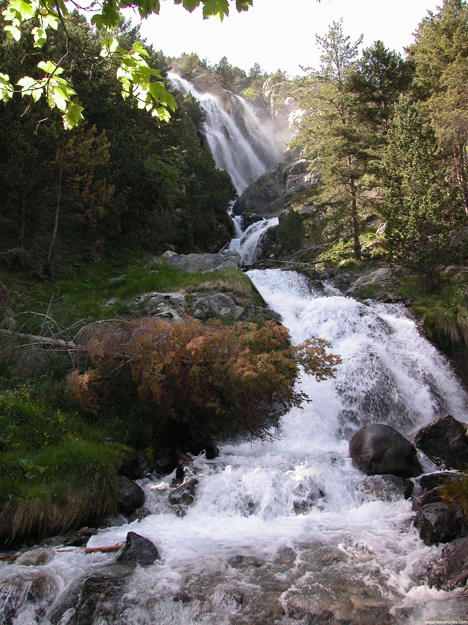 Fotos de paisajes y flores del balneario de Panticosa