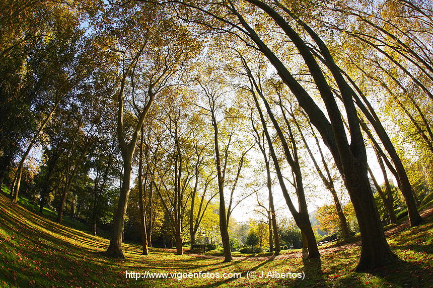 FOTOS DE PAISAJES DE OTOÑO. OTOÑALES. - VIGO. GALICIA