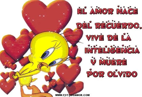 FOTOS D PIOLIN CN FRACES D AMOR | TODO PARA FACEBOOK IMAGENES PARA ...