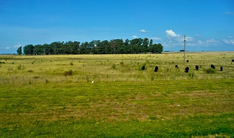 FOTOS SIN PORQUE: FOTOS DE PAISAJES CAMPESTRES