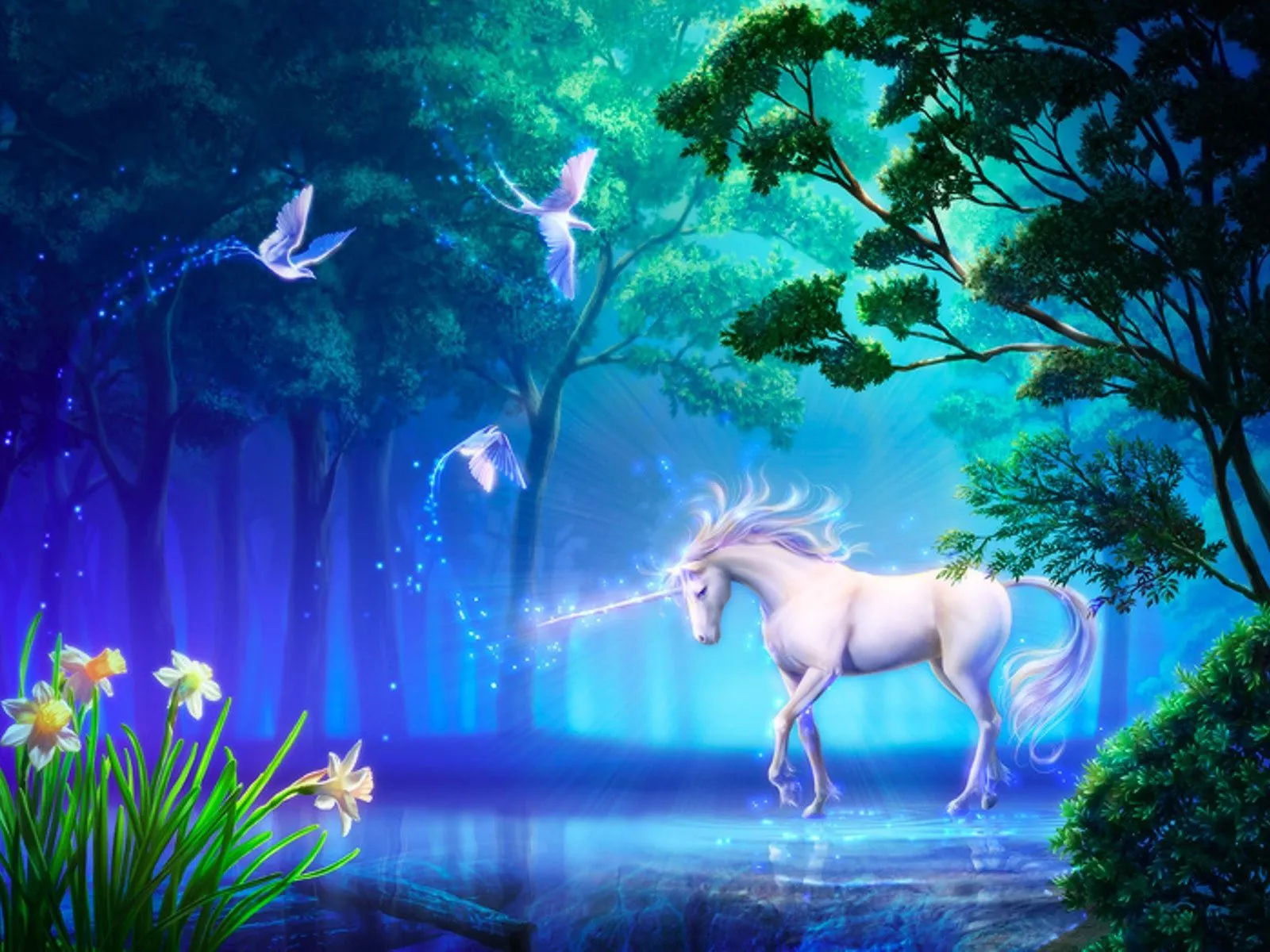 fotos de unicornio en el bosque para facebook ~ Mejores Fotos del ...