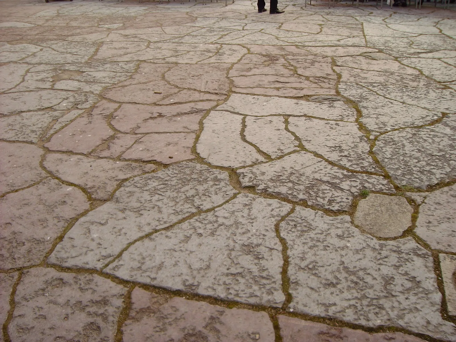 MIS FOTOS Y MIS VIDEOS DE JOHNNY: Paseo por el castillo Läckö