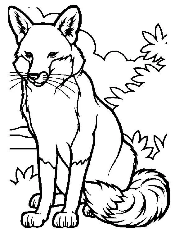 Fox Coloring Pages - Coloringpages1001.