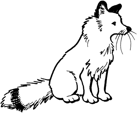 Foxes coloring pages | Super Coloring