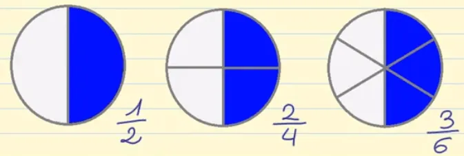 Fracciones equivalentes - Matemáticas primaria