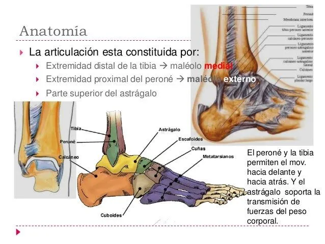 Fractura de tobillo