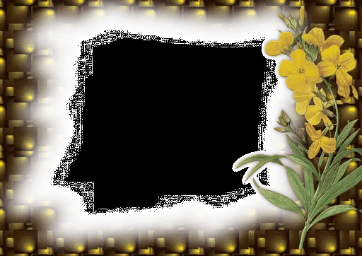 Frame-Flower | imraninfo