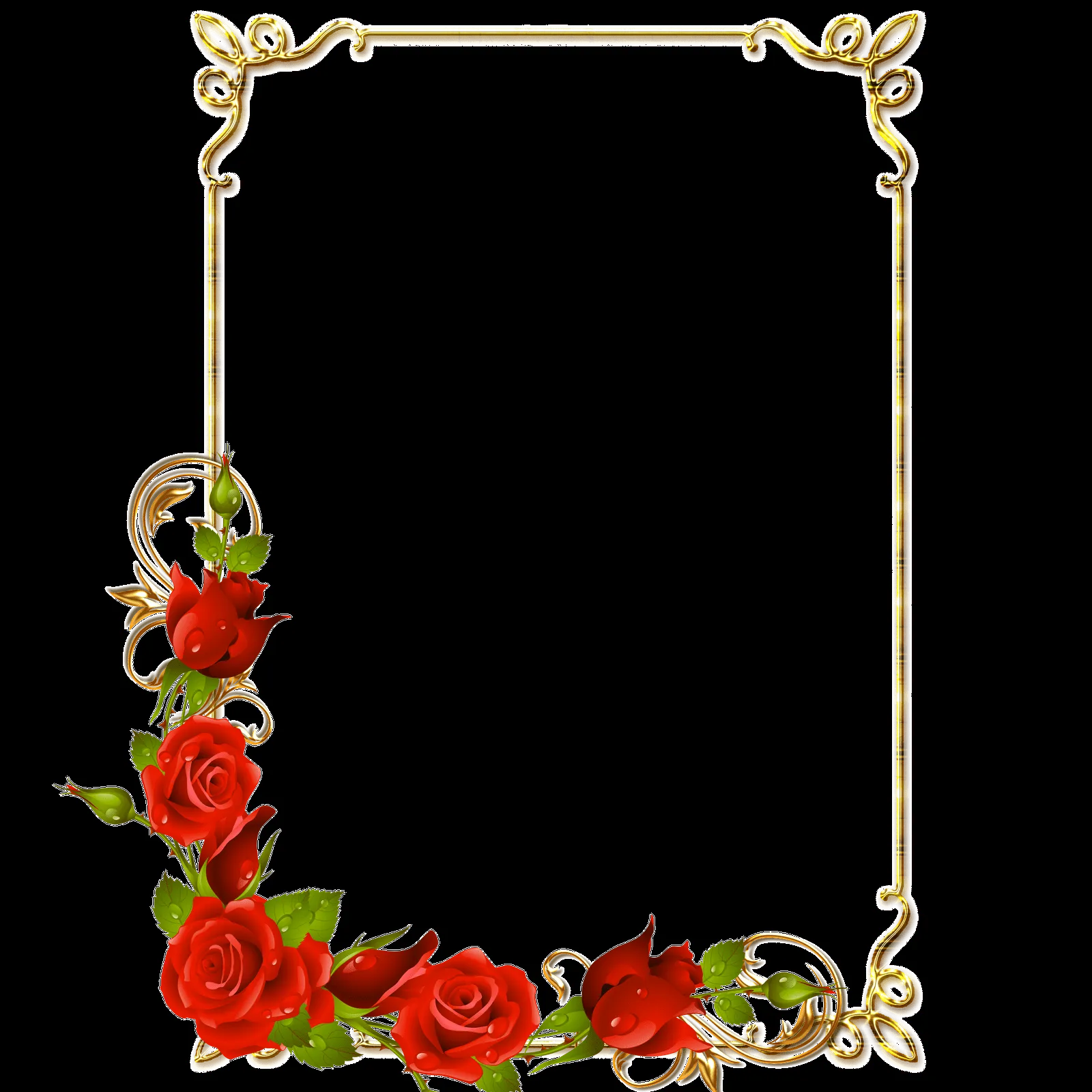 Frames PNG douradas com rosa vermelhas | Imagens para photoshop