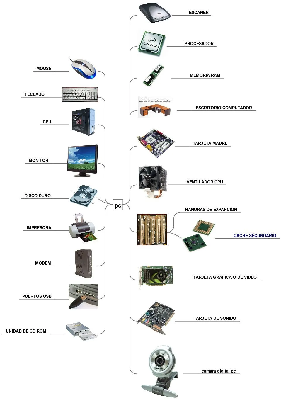 fran: partes del computador