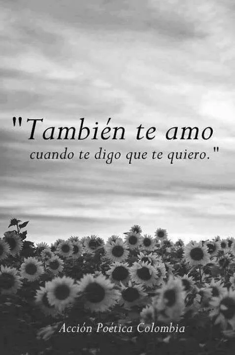 Todo En Frases: Tambien Te Amo Cuando Te Digo Que Te Quiero