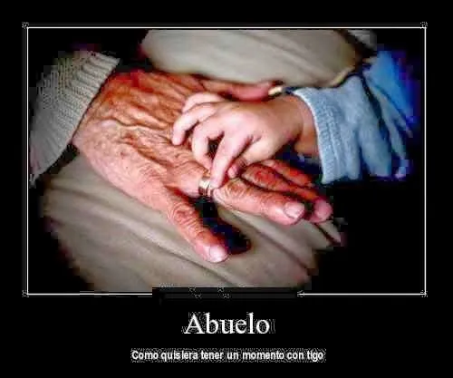 Frases de amor para mi abuelo | Frases de amor