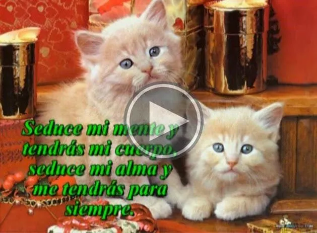 Frases de Amor para dedicar - Vídeos de Amor y Amistad