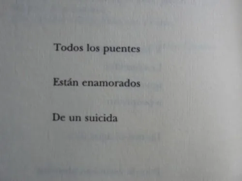 frases amor letras citas Libros Literatura puente suicida dante ...
