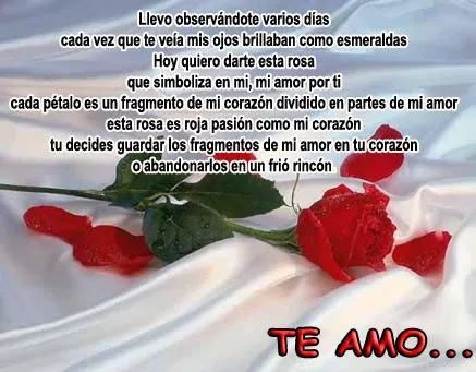 Frases de Amor: Llevo observándote varios días cada vez que te ...