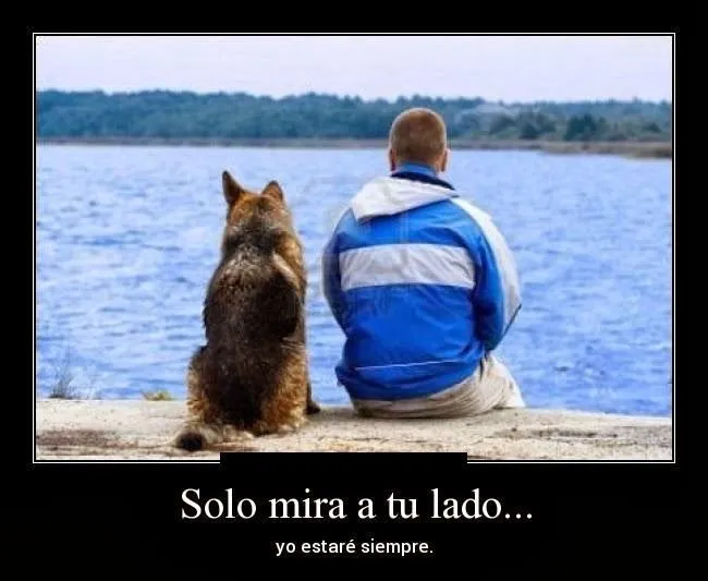 Frases de amor perruno | Frases de amor