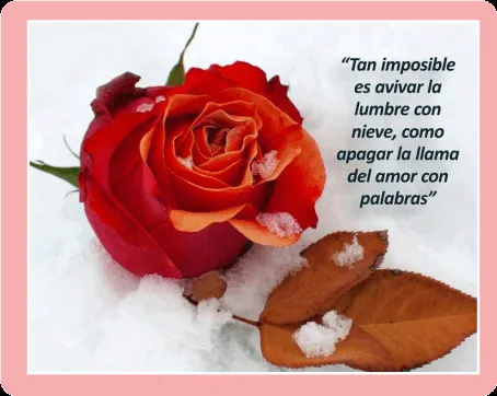 Frases de amor, versos de amor, poemas de amor: DISTANCIA