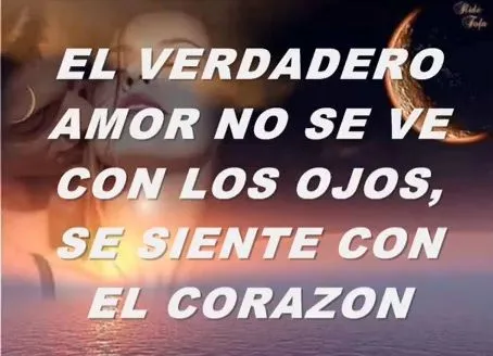 Frases de Amor en Vídeo | Te Amo Web - Imagenes de amor