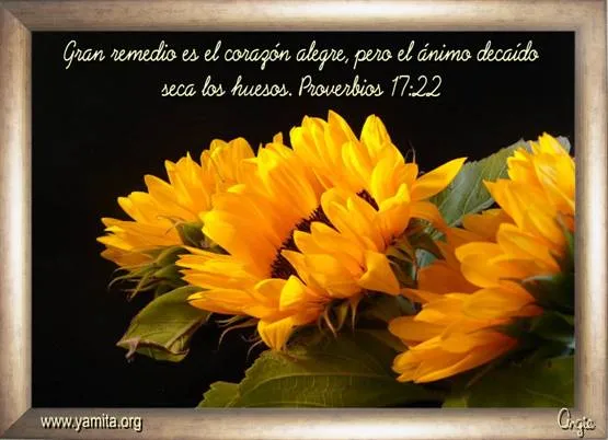 Frases biblicas de aliento - Imagui