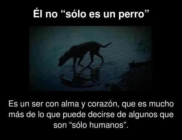 FRASES CÉLEBRES BONITAS: Él no "Sólo es un perro" Es un ser con ...