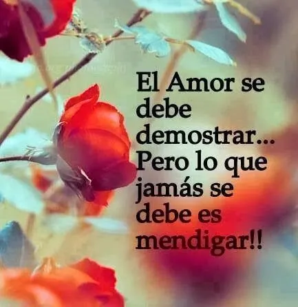 Frases Cortas Y…: Frases De Amor Bonitas Y Cortas