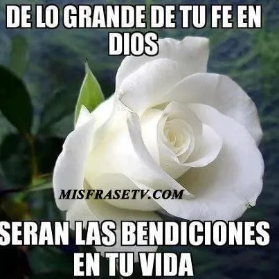 De lo Grande de tu fe en Dios seran las Bendciones en tu vida ...