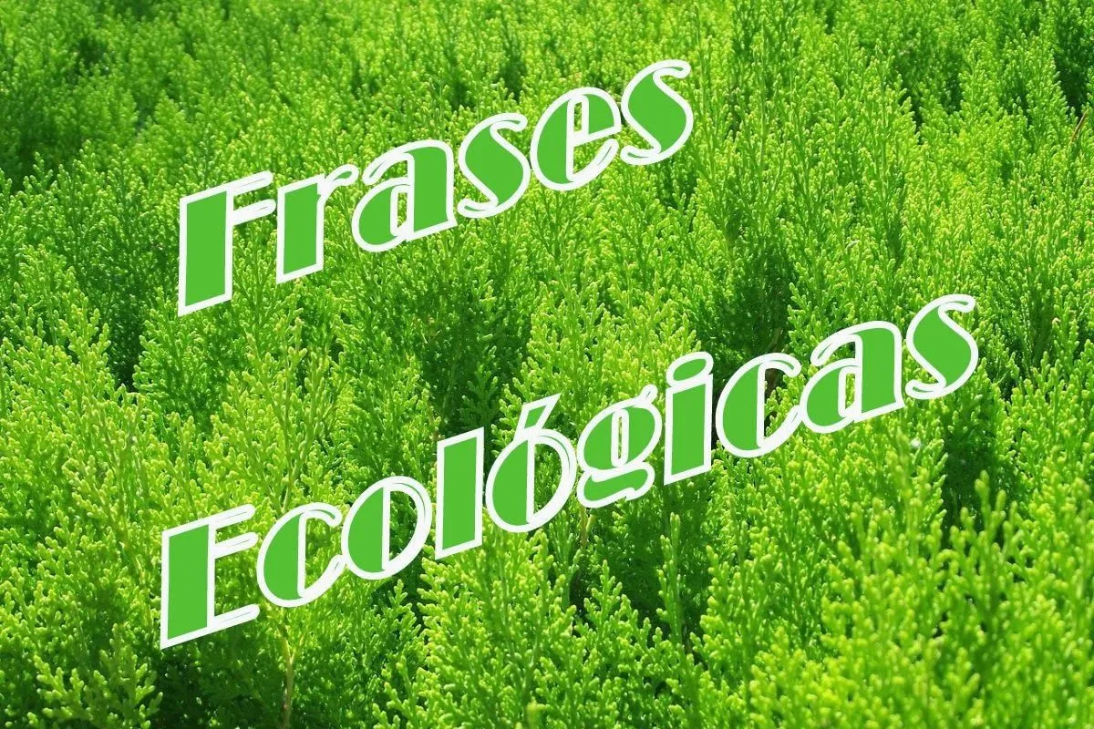 Frases ecológicas para reflexionar 2014 - Clima, Medio Ambiente y ...