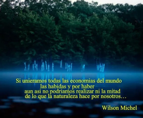 frases ecologicas de Wilson Michel | Wilson Michel...(Autor ...