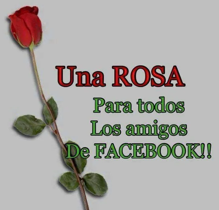 Frases Para Facebook Amigos Especiales