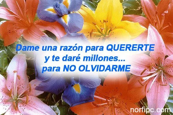 Frases de Facebook, de amor, lindas, para enviar y poner en tu muro