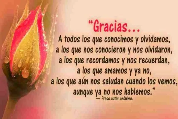 frases de gracias a todos por felicitarme