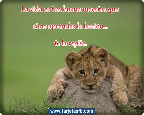 Frases hermosas de la vida - Imagui