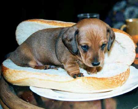 Frases y imagenes graciosas. - Taringa!