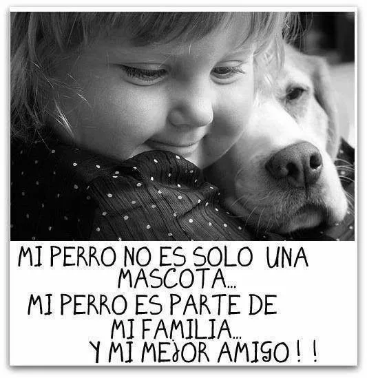 Frases con imágenes : Mi perro no es solo una mascota... mi perro ...