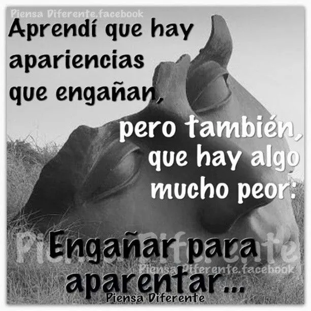 FRASES ?...Matonas☆ on Pinterest | Frases, Hay and Amor