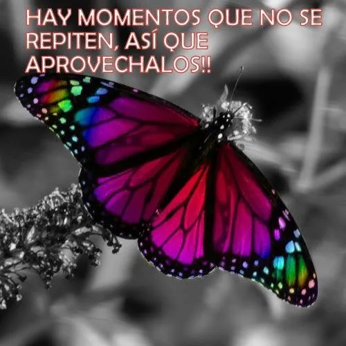 FRASES DE MOTIVACION, SUPERACION, AMOR Y MAS♥♥: FRASES CON MARIPOSAS